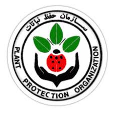 دستورالعمل اجرایی مدیریت مگس بنه زعفران