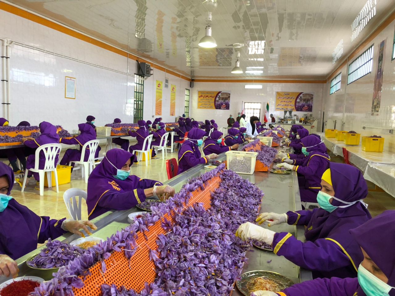 آموزش بسته بندی زعفران